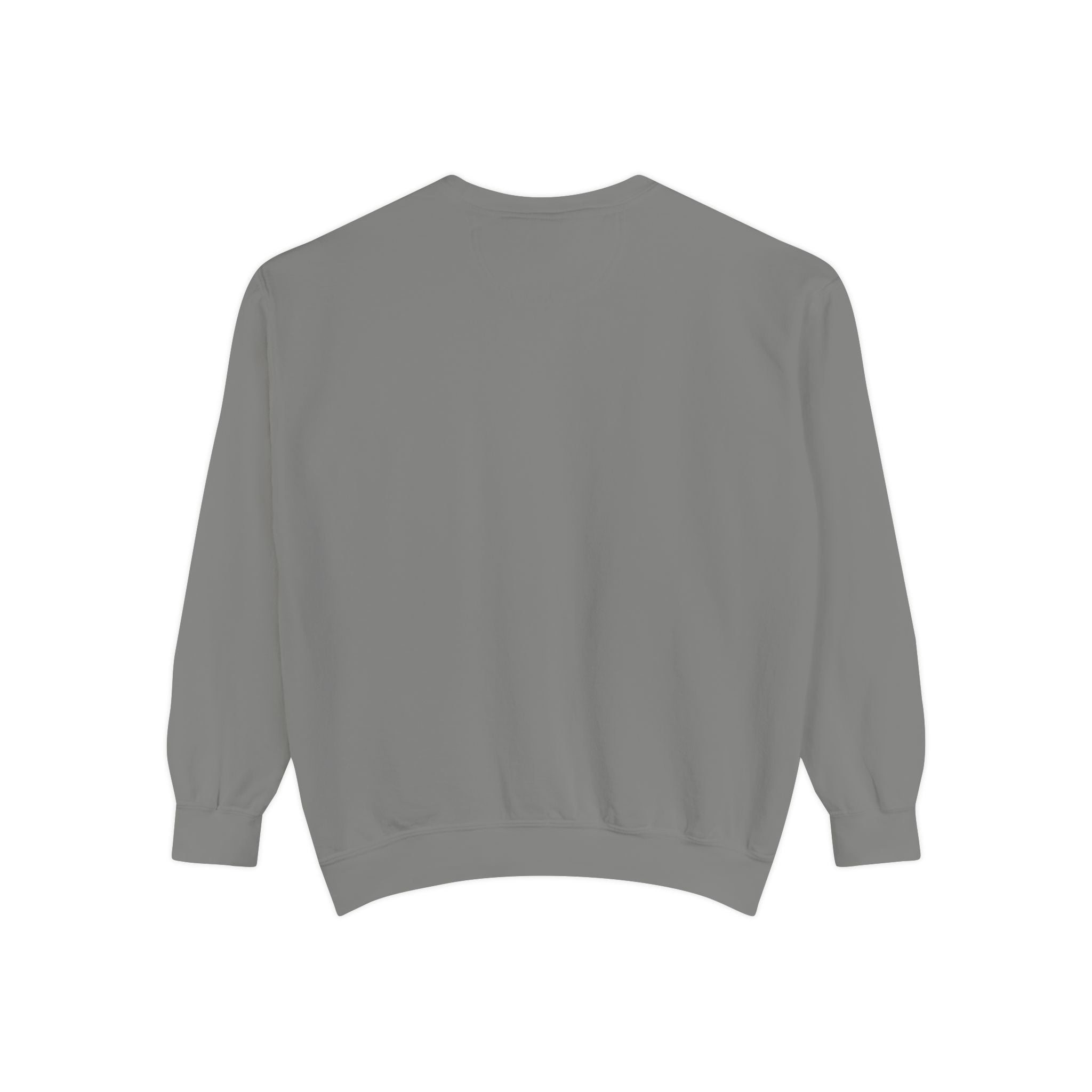 Game Day Sweatshirt – Vintage Distressed Sports Crewneck