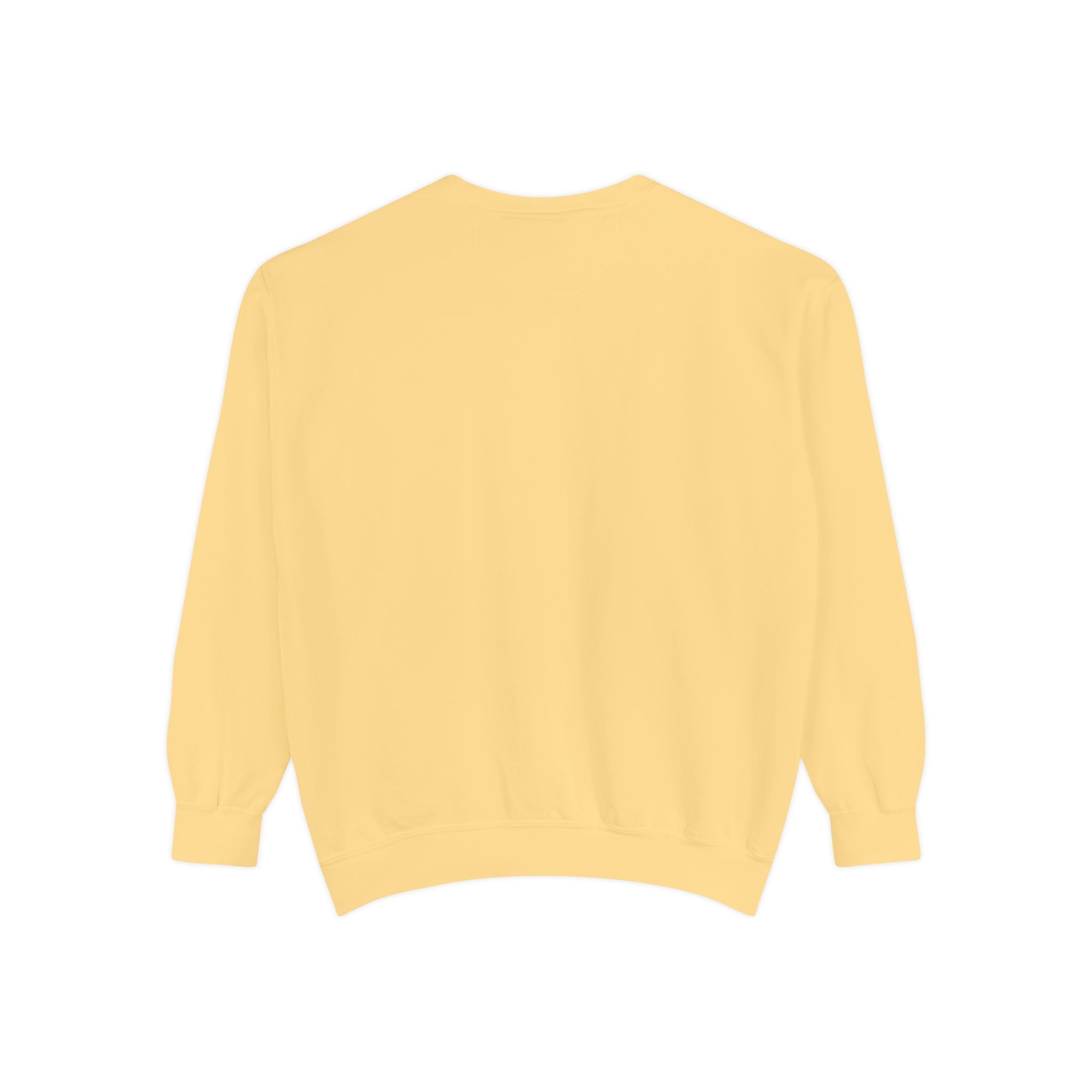 Game Day Sweatshirt – Vintage Distressed Sports Crewneck